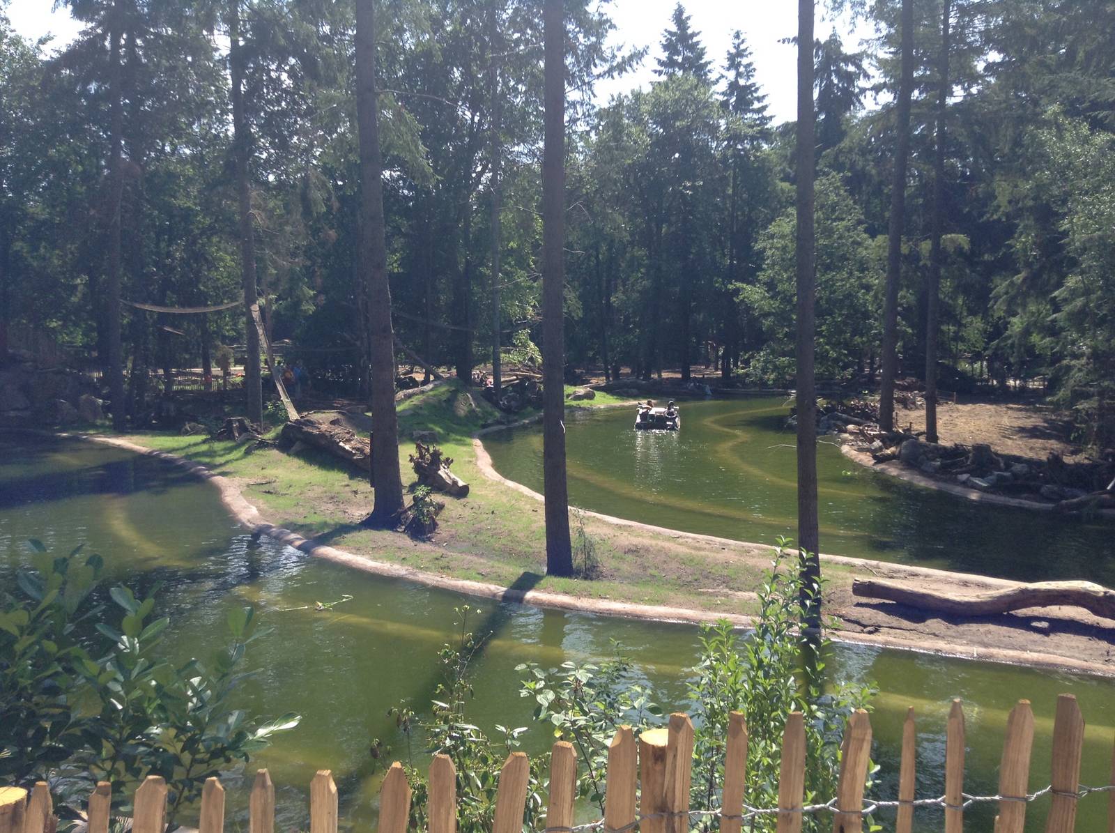 De Grote Wildernis (the big wilderness) Lemur Island