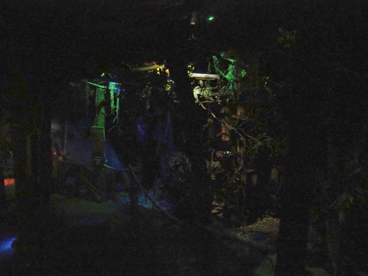 'De Nacht' ('The Night') nocturnal house - Pygmy slow loris, Senegal galago and Malagasy giant jumping rat exhibit, 2023-09-24