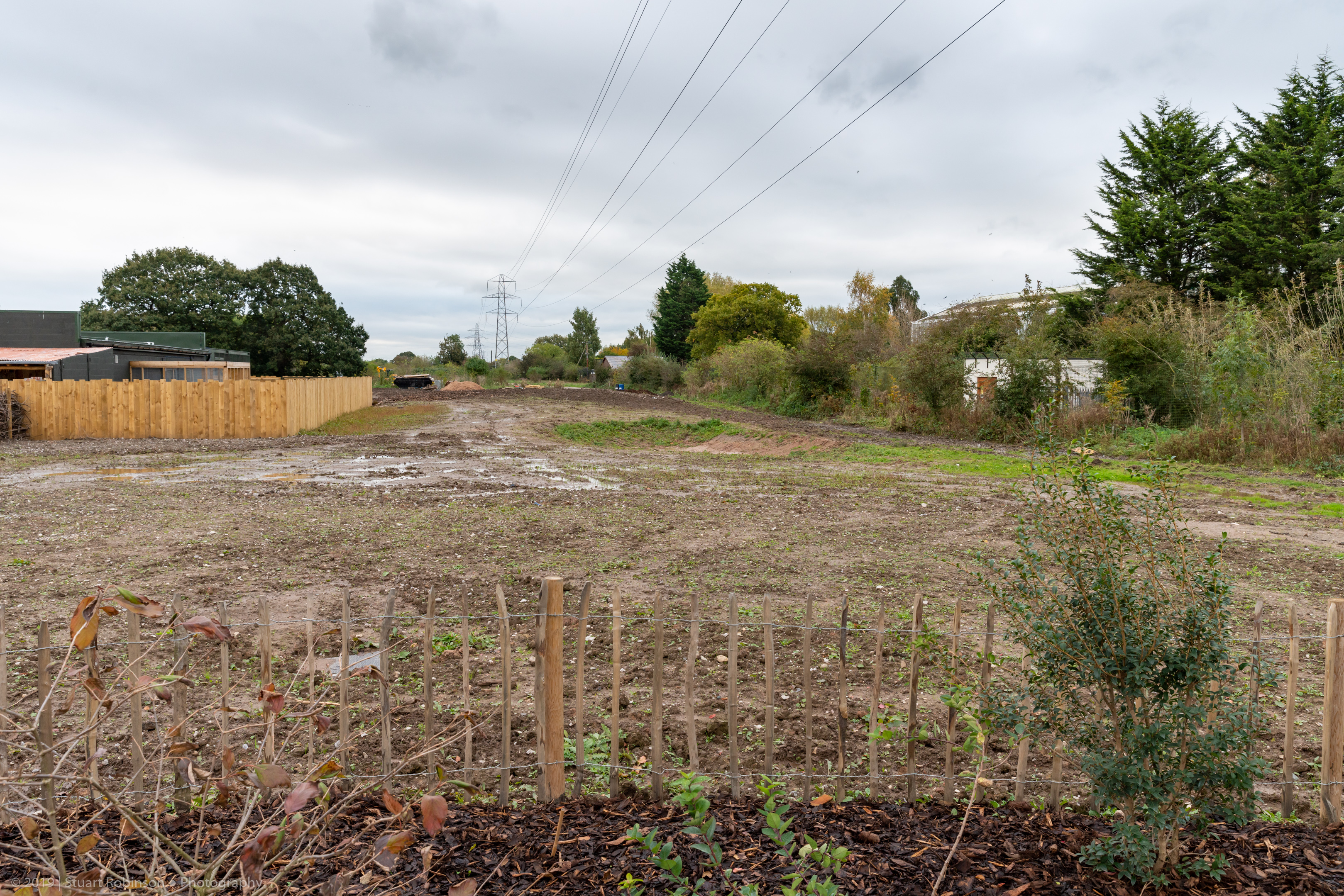 Dead Area Between Zoo and Lion Enclosure - 20/10/2019