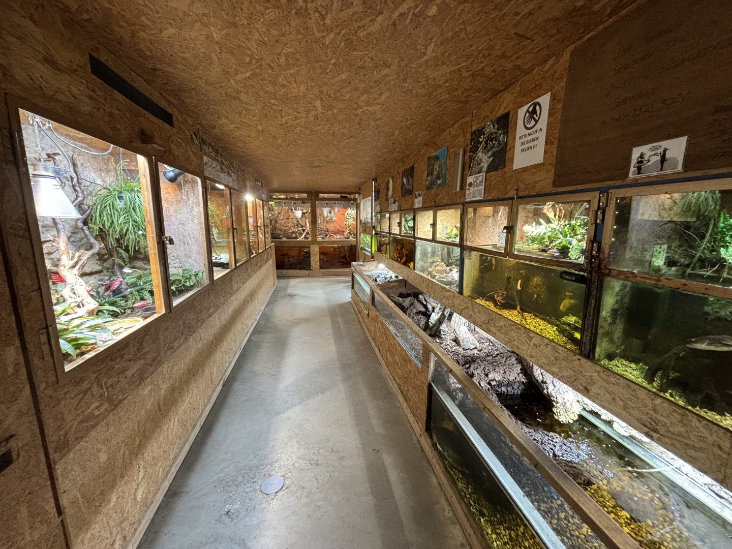 Dead End at Schildkröten und Reptilien Zoo Neu-Ulm