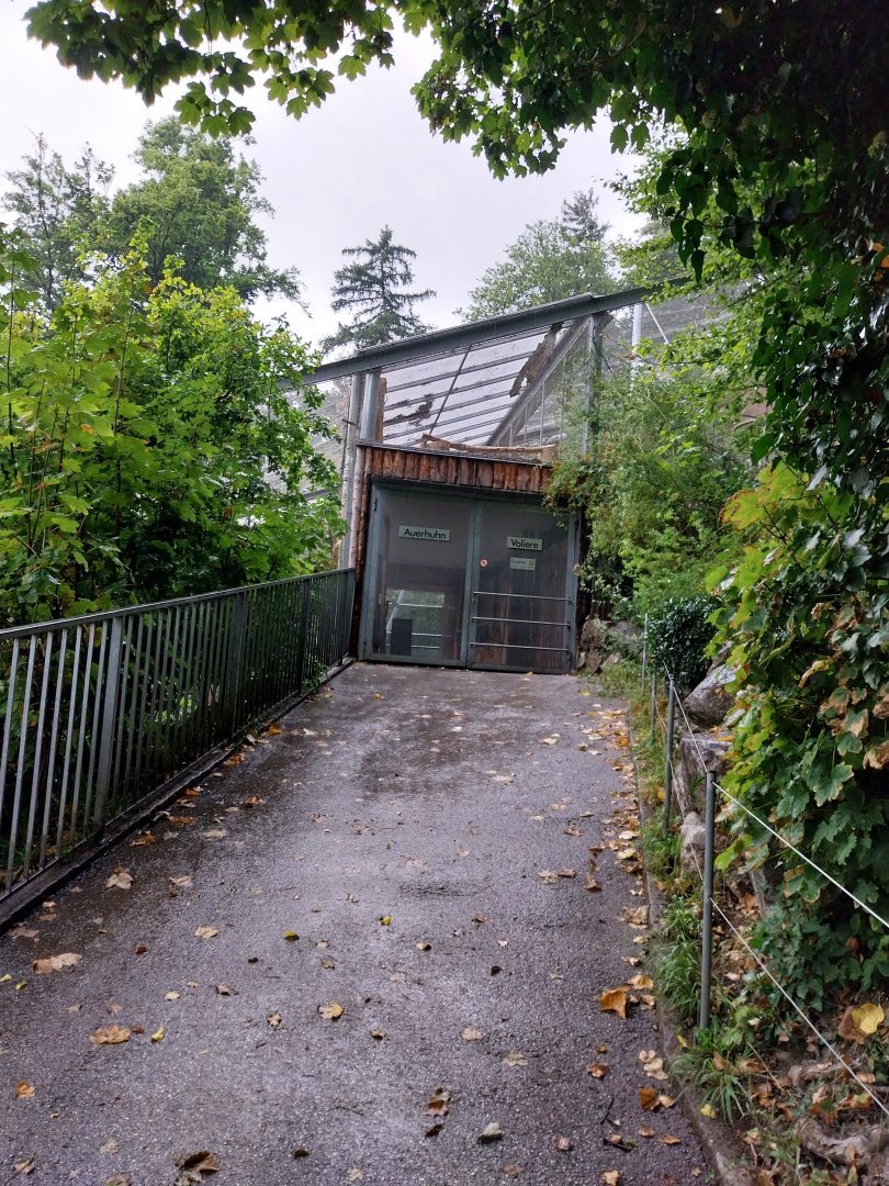 Dead end towards capercaillie, woodpecker and golden eagle aviary