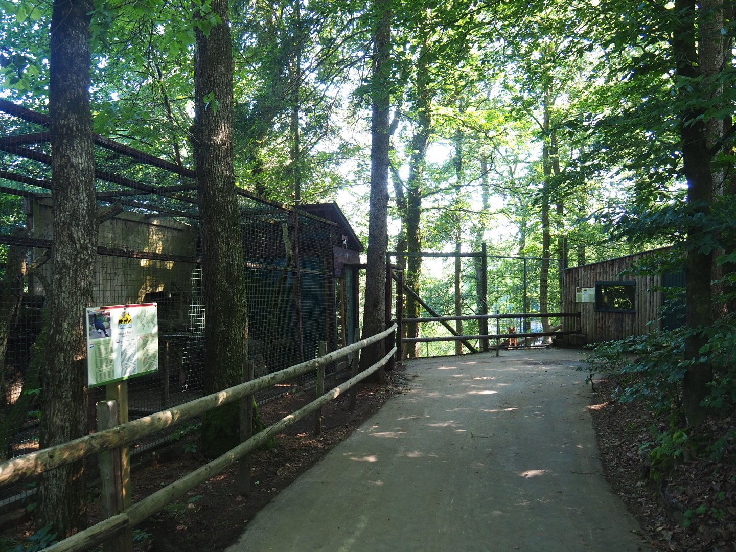 Dead-end walkway with Helmeted curassow aviary, Dhole viewing area and Dhole barn, 2023-06-24