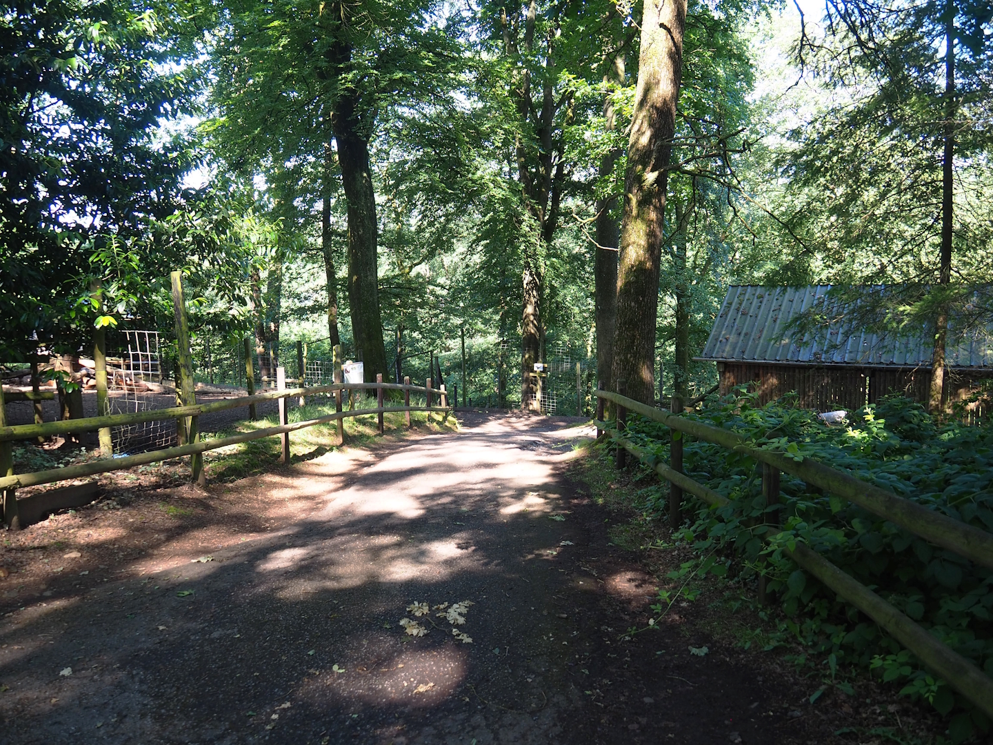 Dead-end walkway with view of Cameroon sheep, Himalayan tahr, Siberian ibex and American beaver exhibits, 2023-06-24