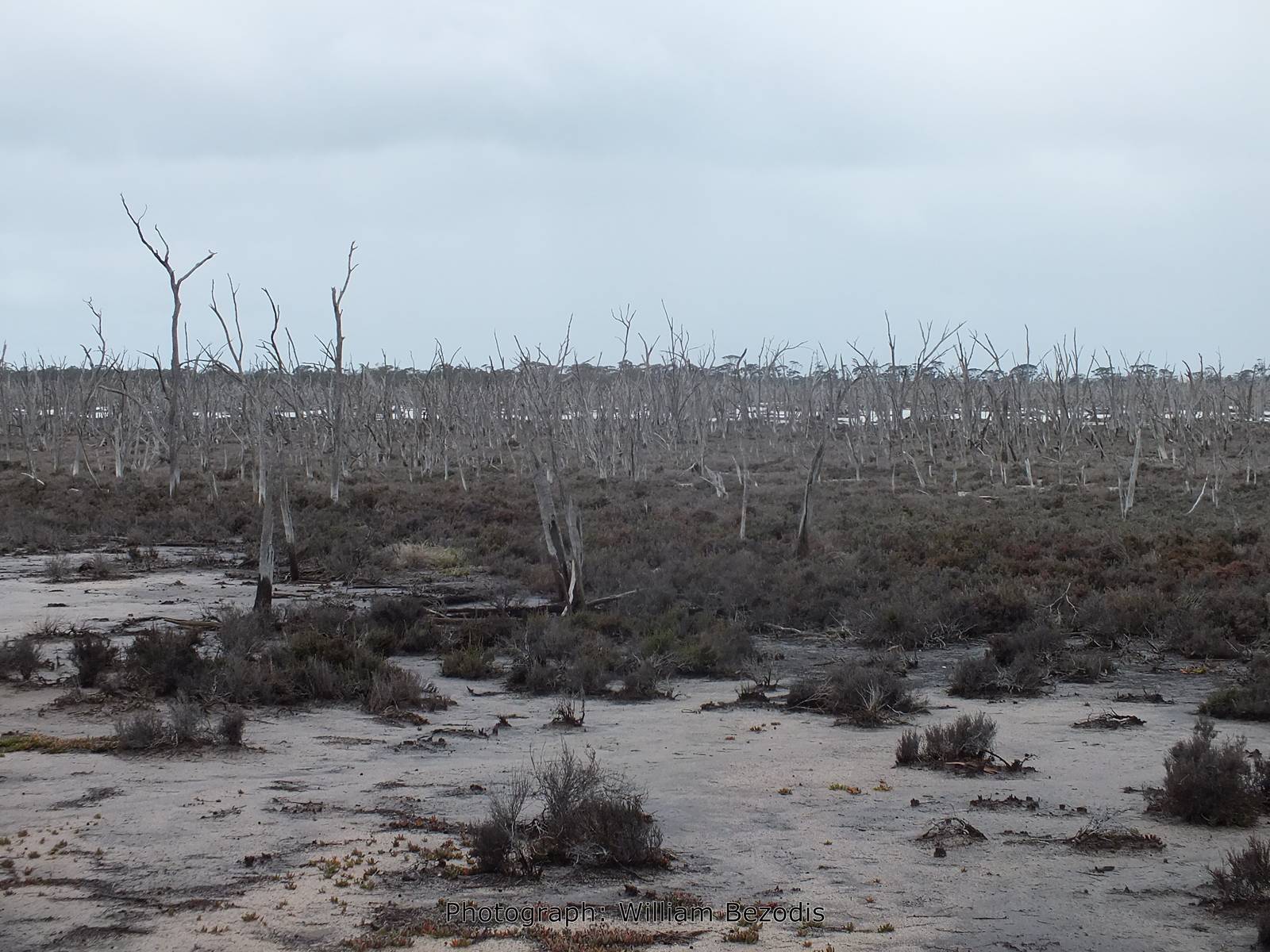 Dead Lake Western Australia