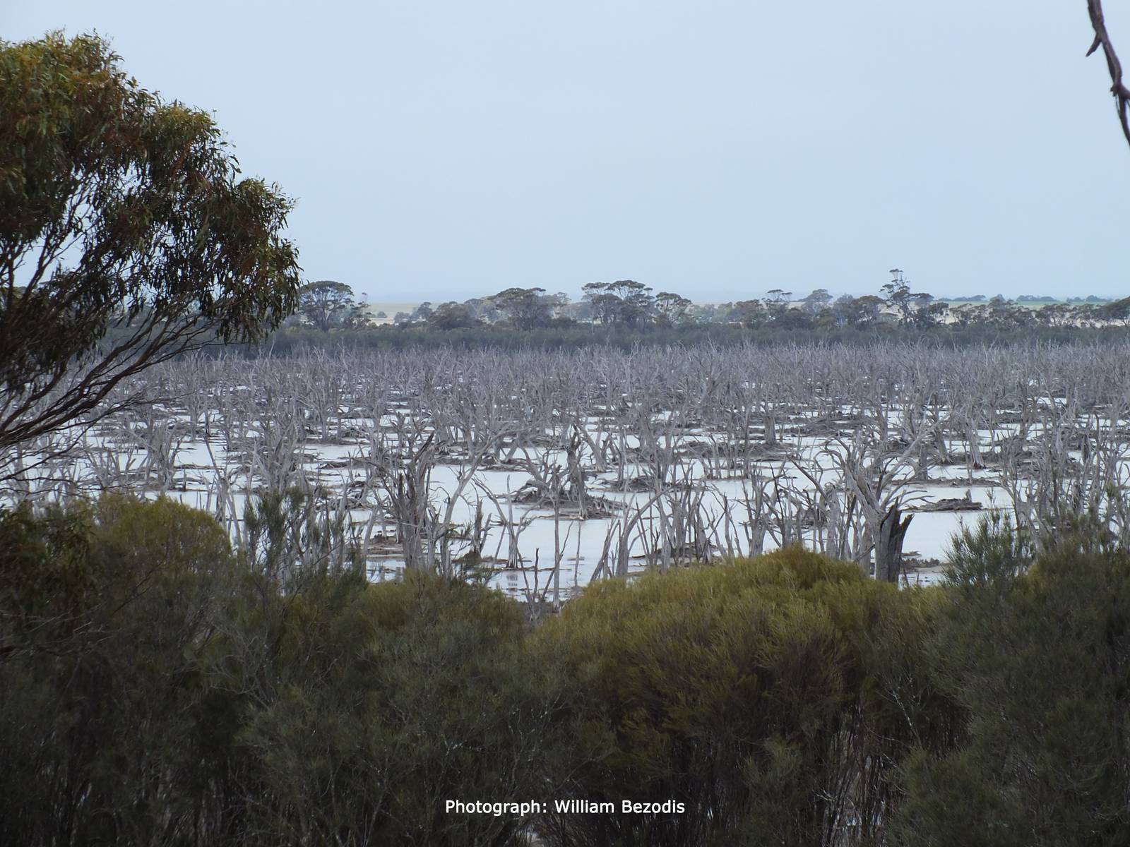 Dead Lake Western Australia