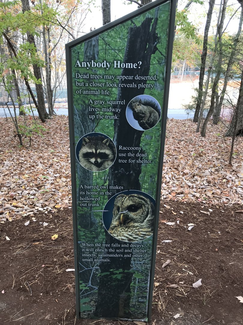 Dead Trees as Animal Habitat Sign