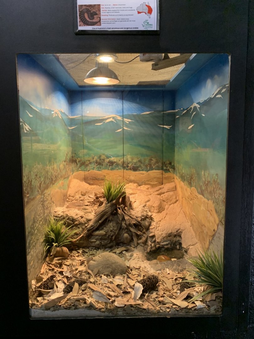 Death Adder Enclosure