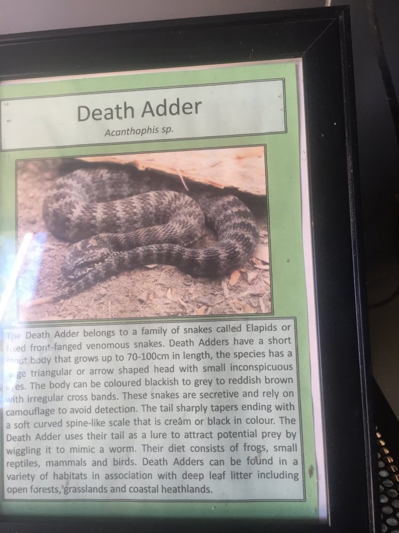 Death Adder signage