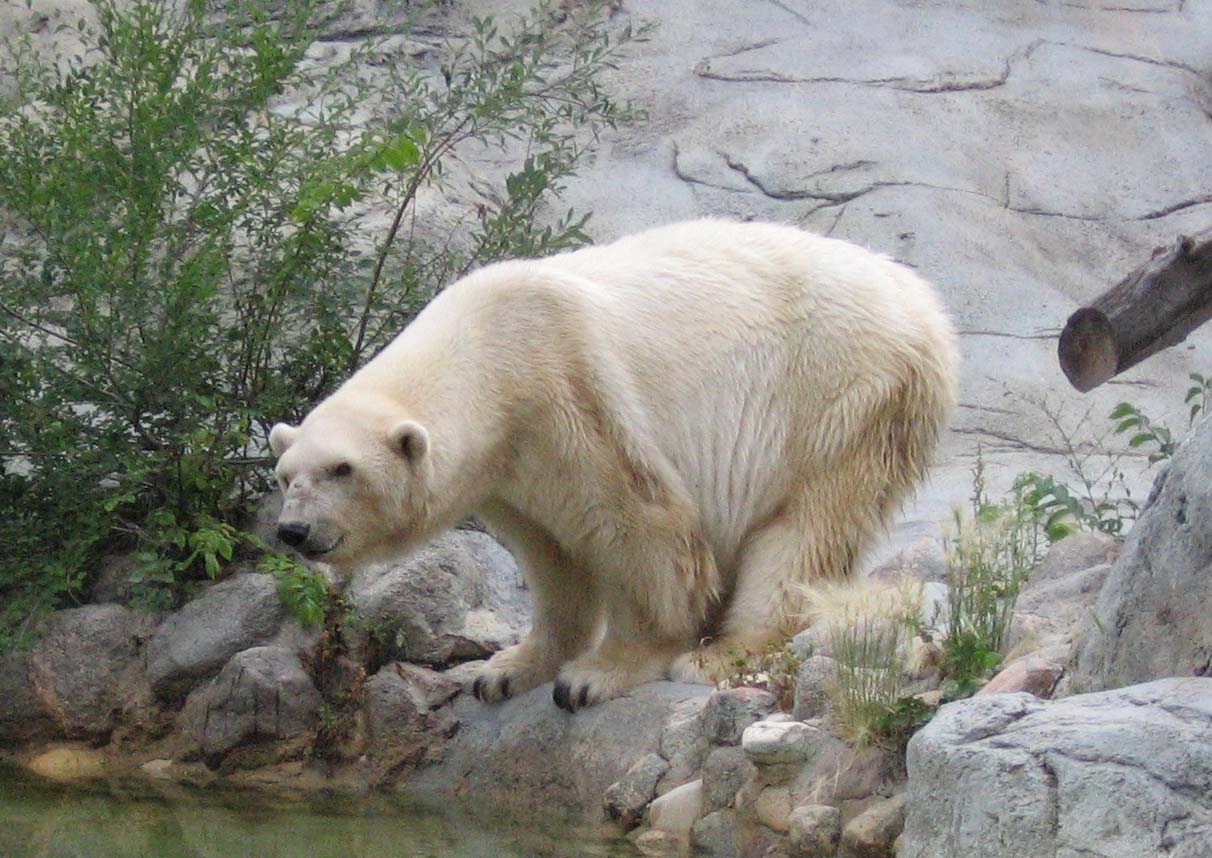 Debbie, August 3rd 2008