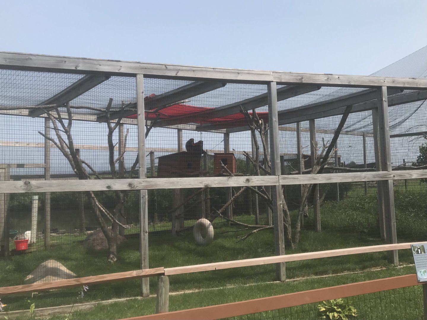 DeBraza’s Guenon Exhibit