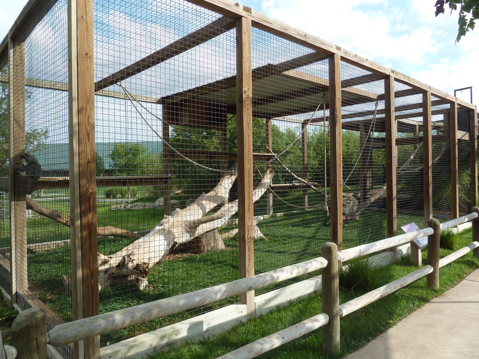 DeBrazza Monkey Exhibit