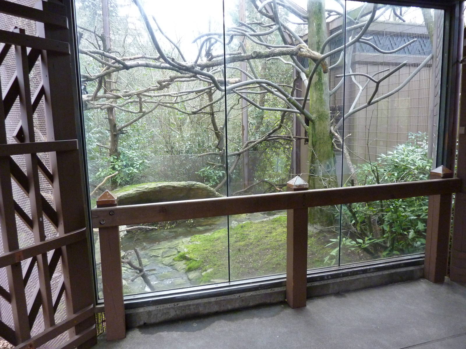 DeBrazza Monkey Exhibit