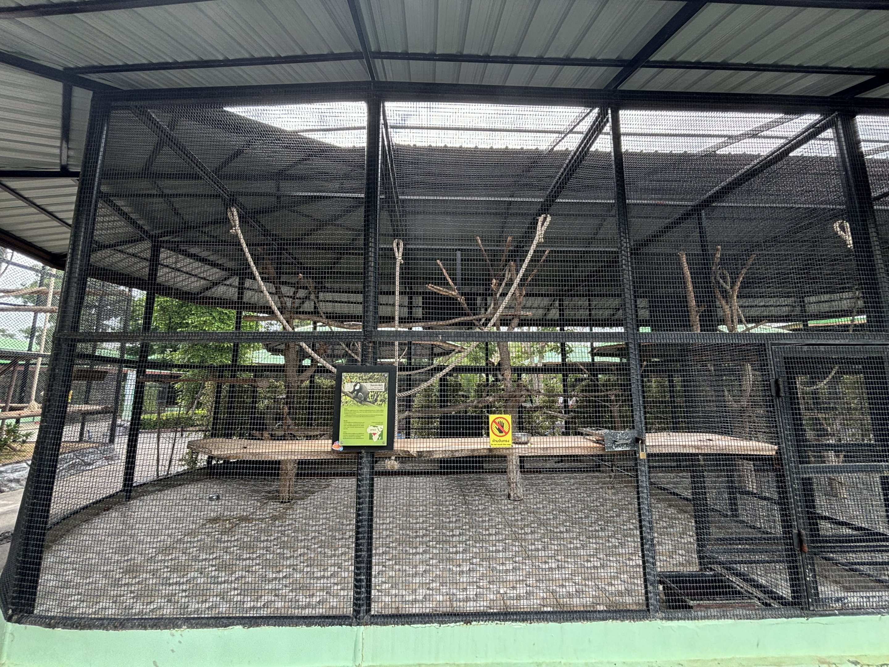 DeBrazza’s Monkey Exhibit - Lion Park