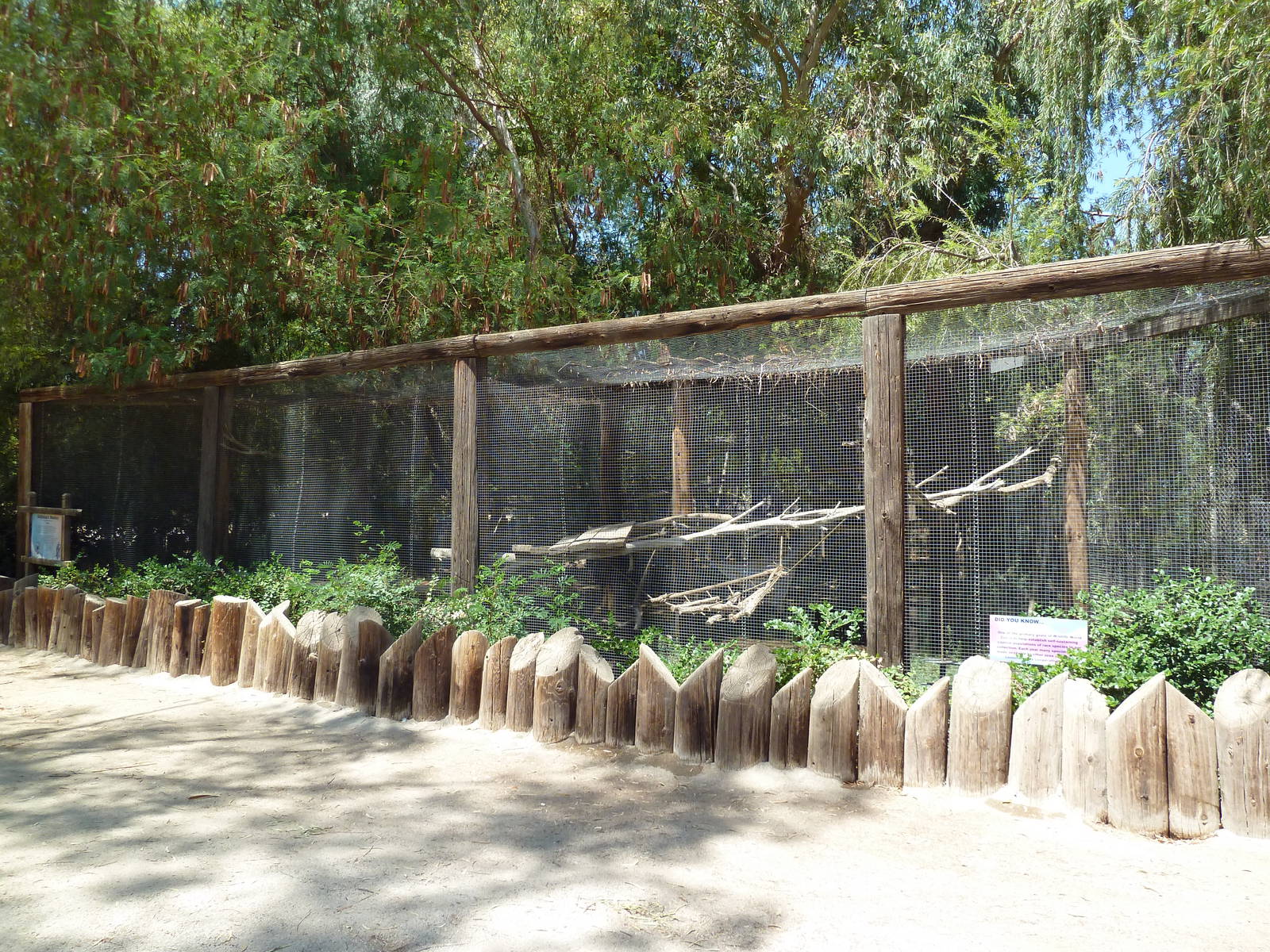 DeBrazza's Monkey Exhibit