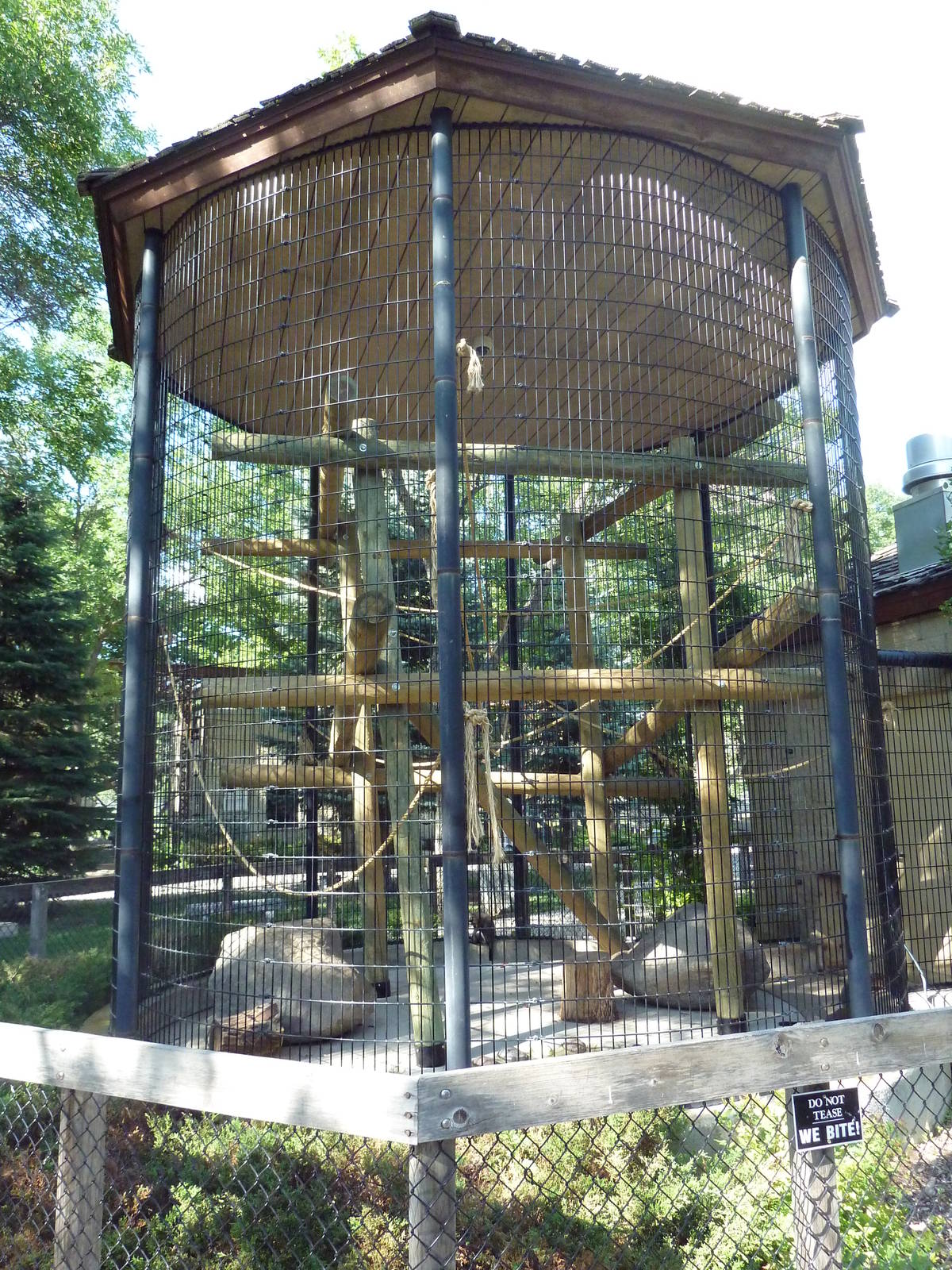 DeBrazza's Monkey Exhibit