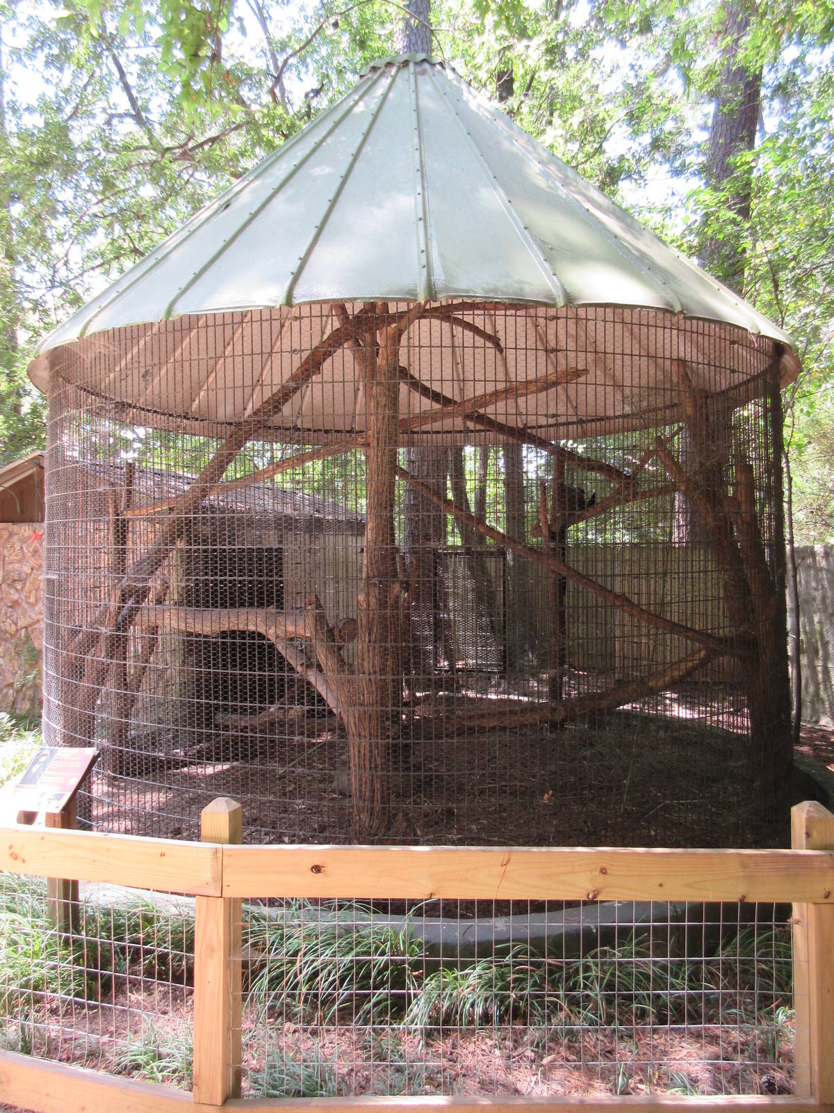 DeBrazza's Monkey Exhibit