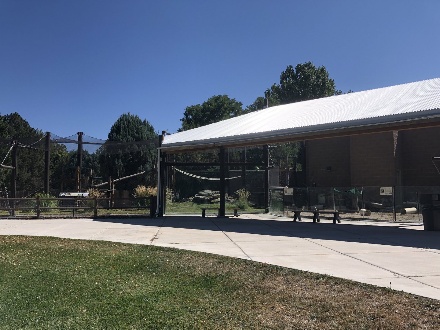 DeBrazza's Monkey exhibit