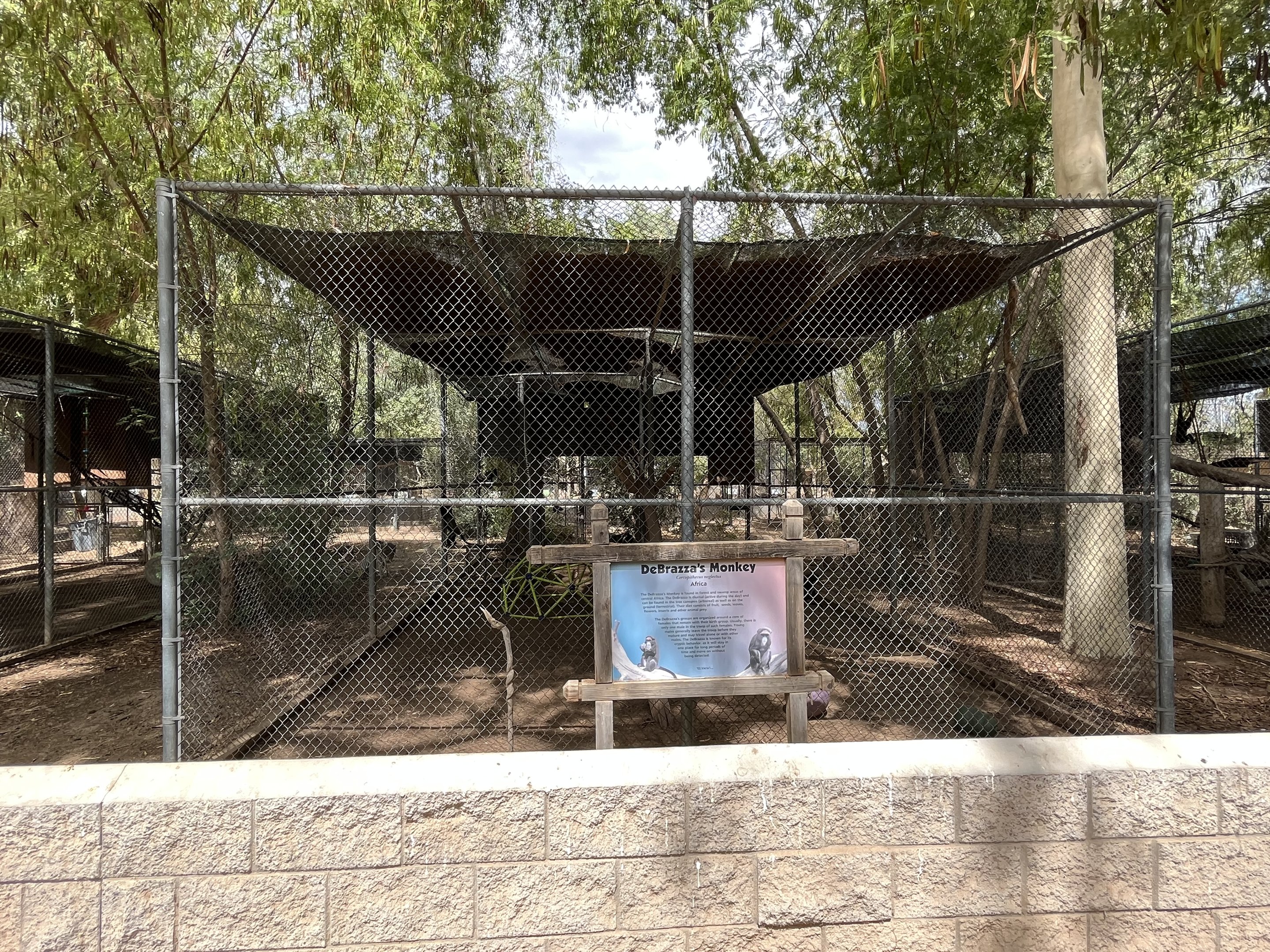 DeBrazza’s Monkey Exhibit