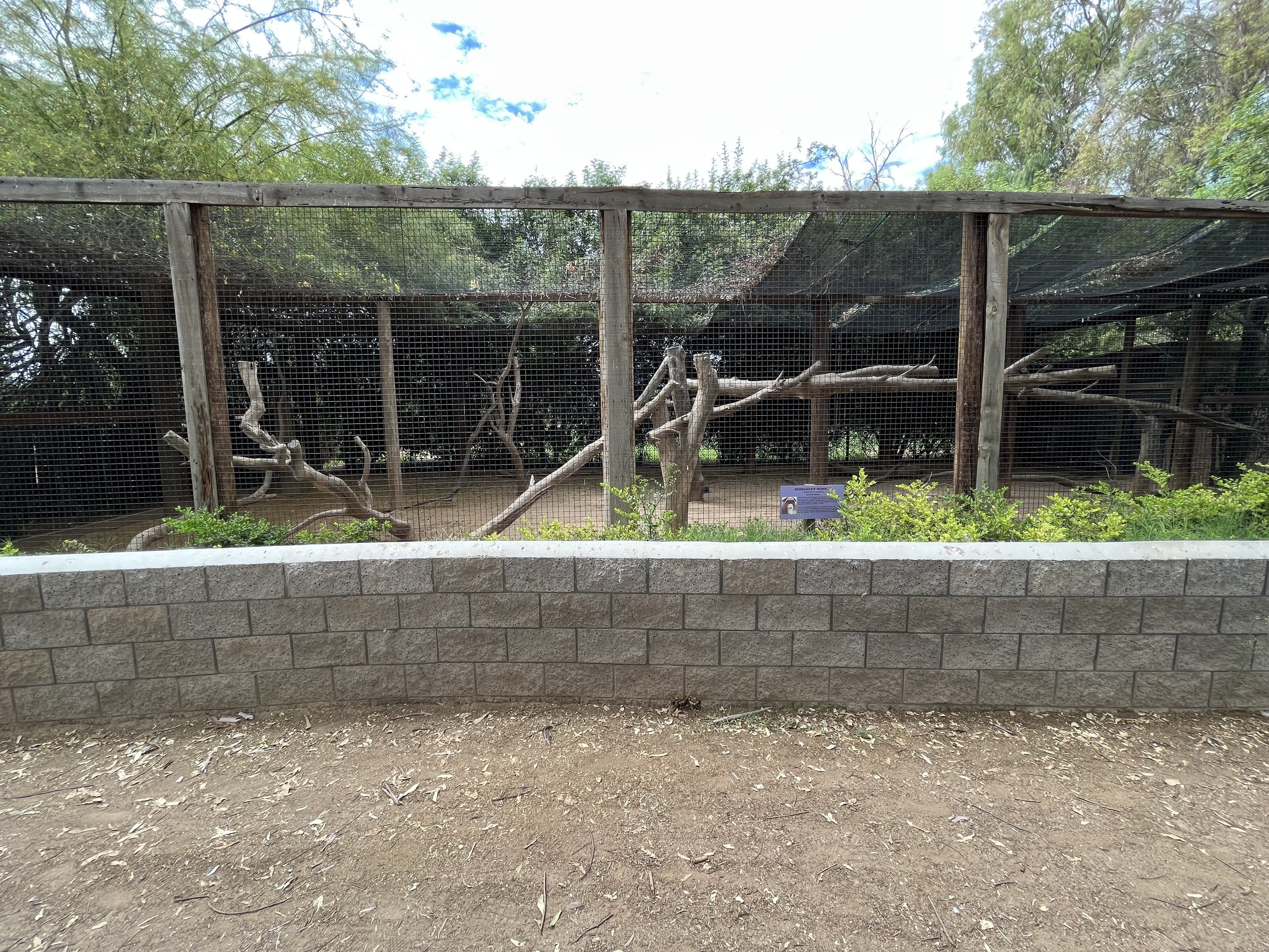 DeBrazza’s Monkey Exhibit