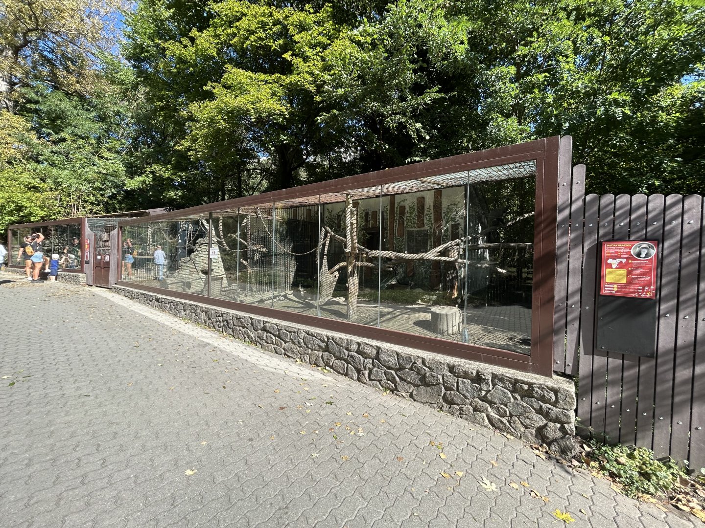 DeBrazza’s Monkey Exhibit