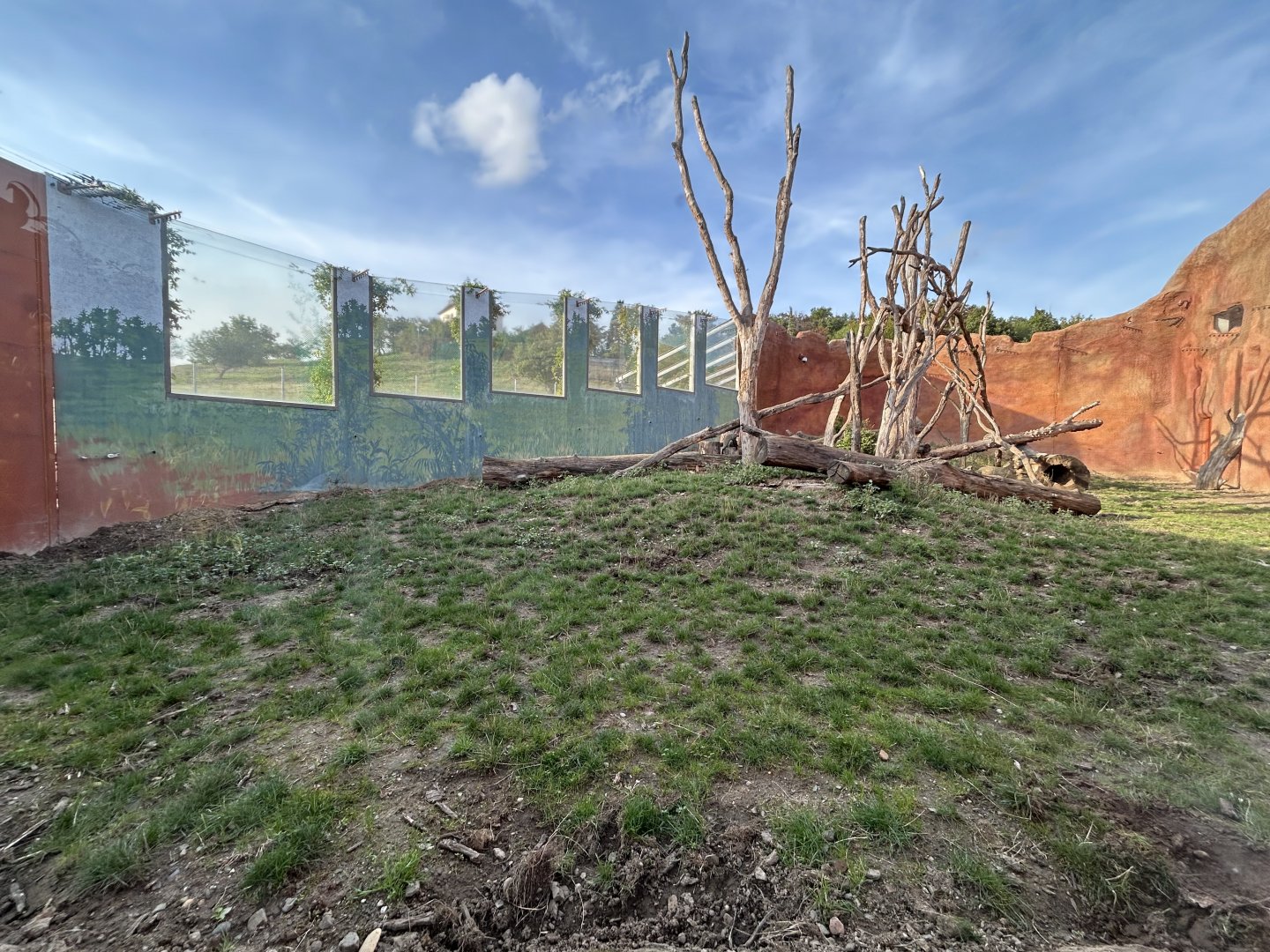 DeBrazza’s Monkey & Red River Hog Exhibit - Dja Reserve