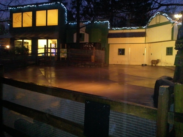 Dec. 2011-Children's Zoo- Petting Zoo