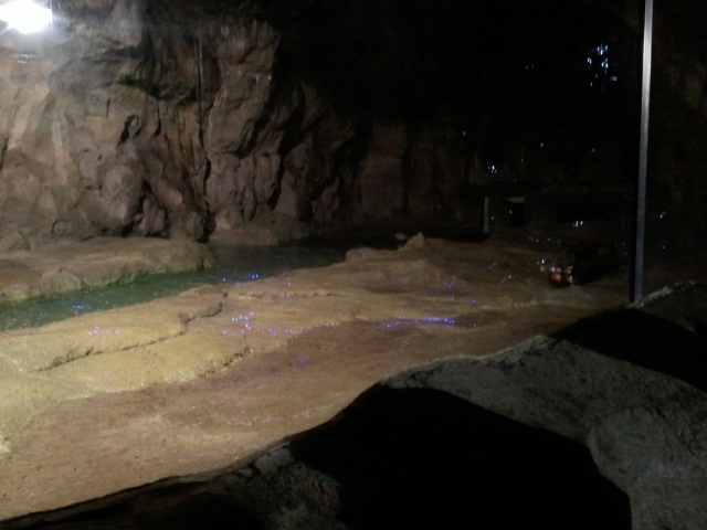 Dec. 2011-Lords of the Arctic-2nd Polar bear exhibit