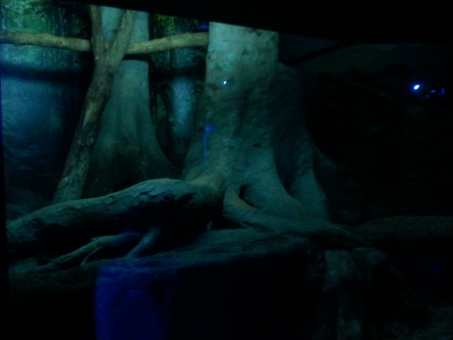 Dec. 2011-Night Hunters-Bearcat exhibit