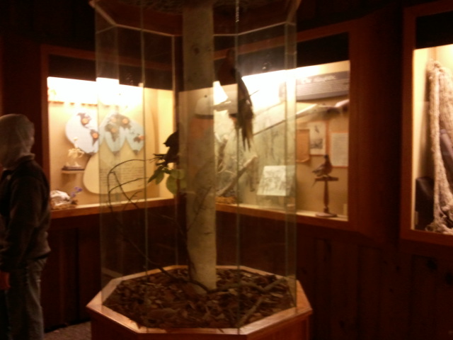 Dec. 2011-Passenger Pigeon Memorial