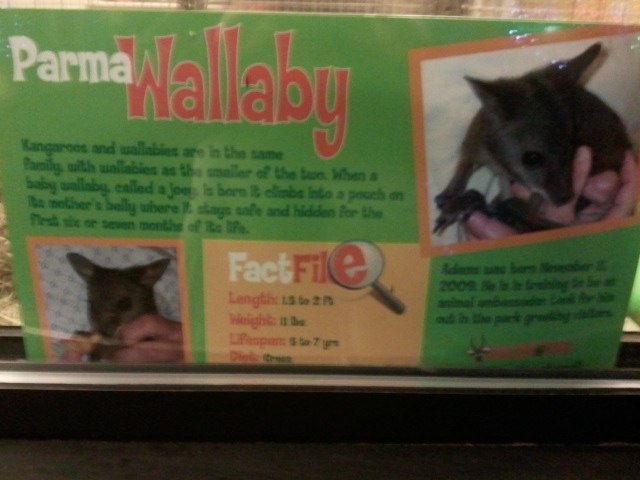 Dec. 2011-Wallaby Nursery Sign at the Children's zoo