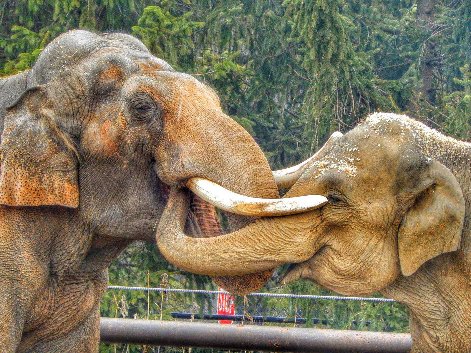 Dec. 2014 - Asia Quest - Hank + Phoebe (My Greatest Photo)