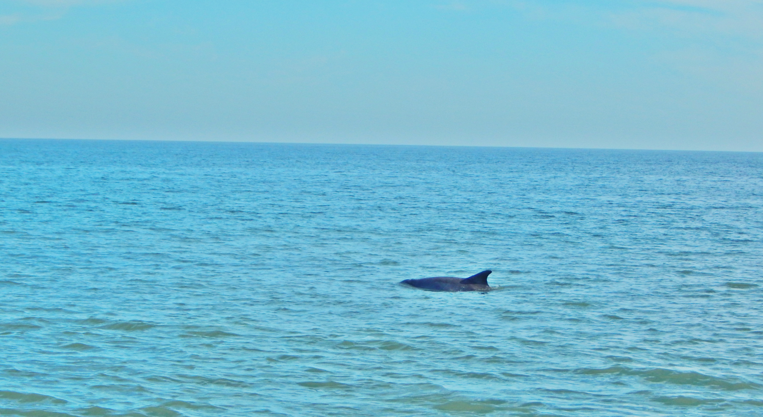 Dec. 2014 - Hilton Head Island