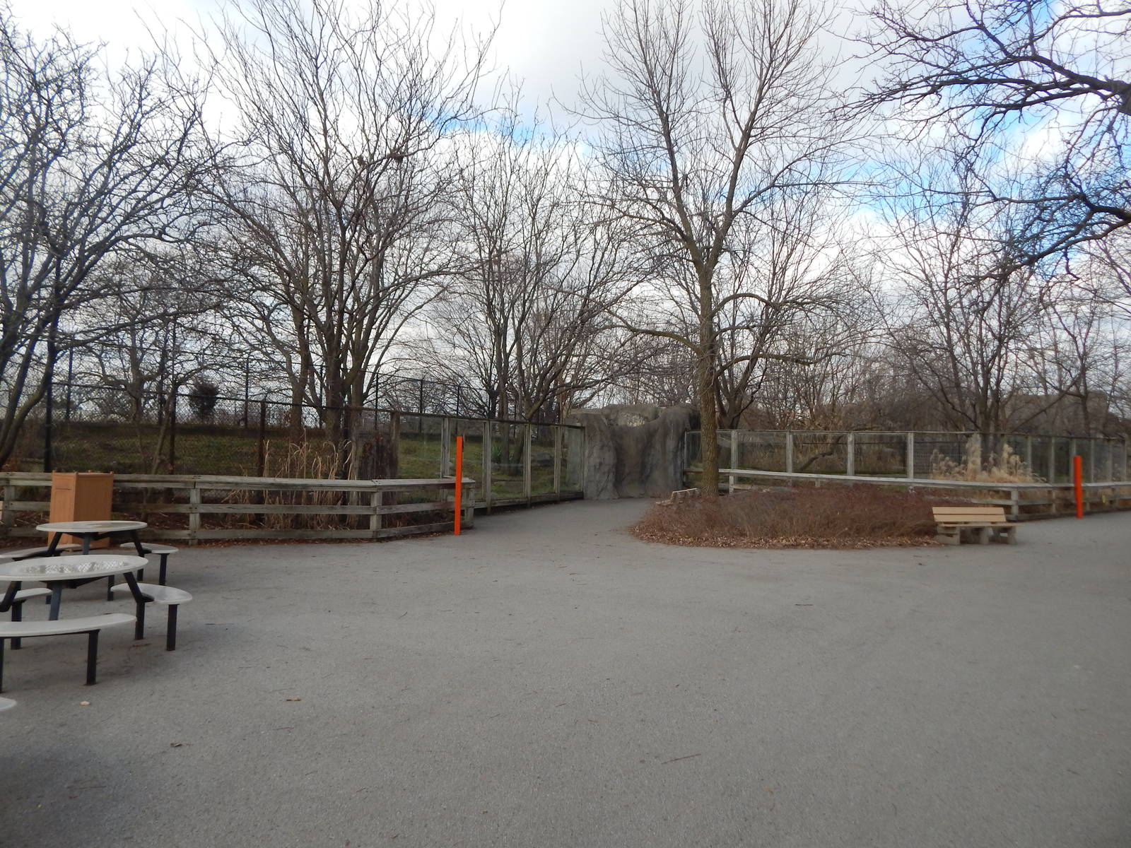 Dec. 2014 - Plains - African Painted Dog Exhibit (No Longer There)