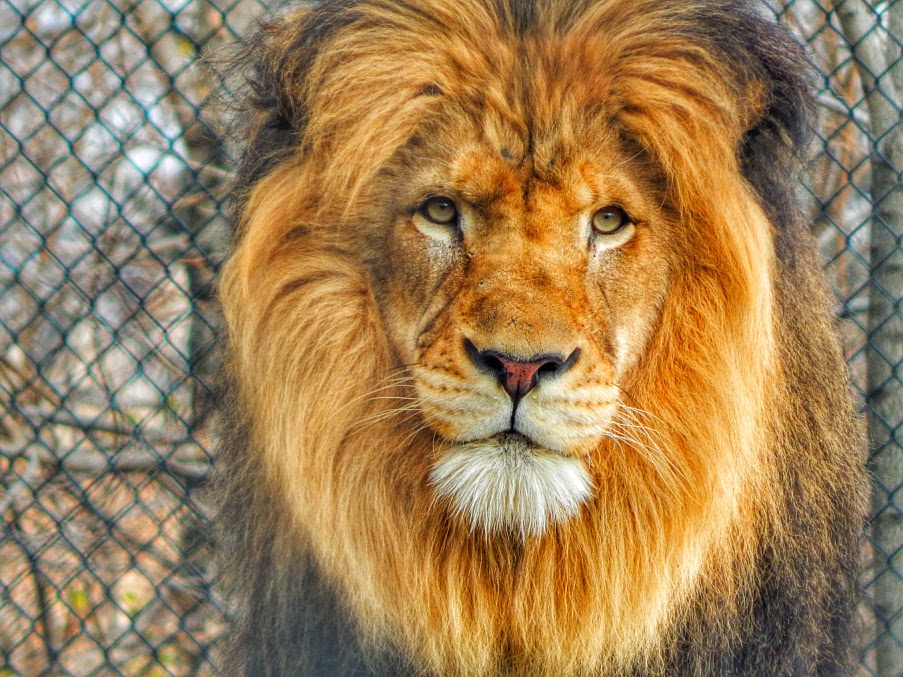 Dec. 2014 - Plains - Nyack