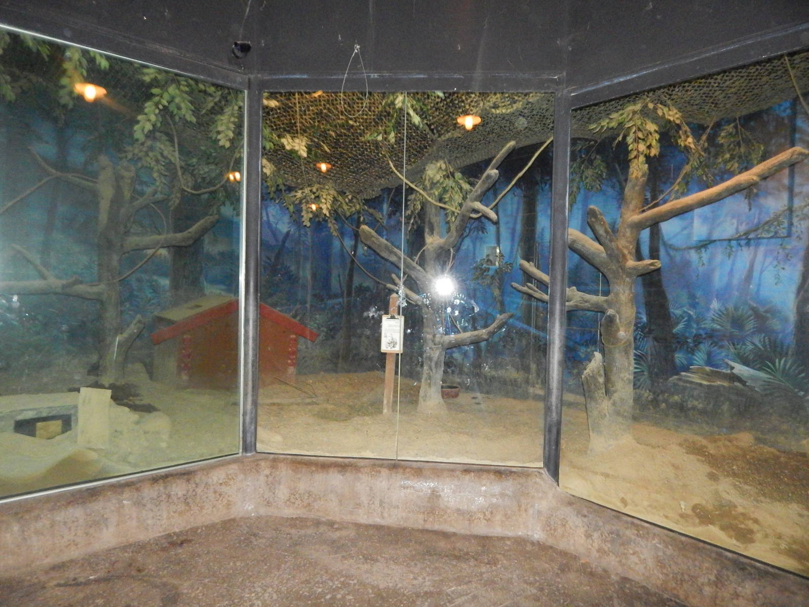 Dec. 2014 - Roadhouse - Southern Hairy-nosed Wombat Exhibit New 2014!