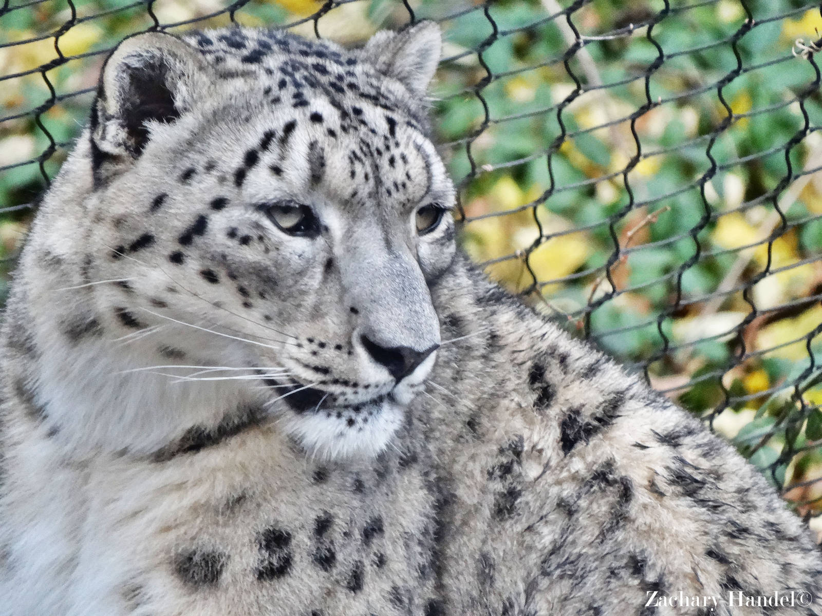 Dec. 2015 - Cat Canyon - Nubo