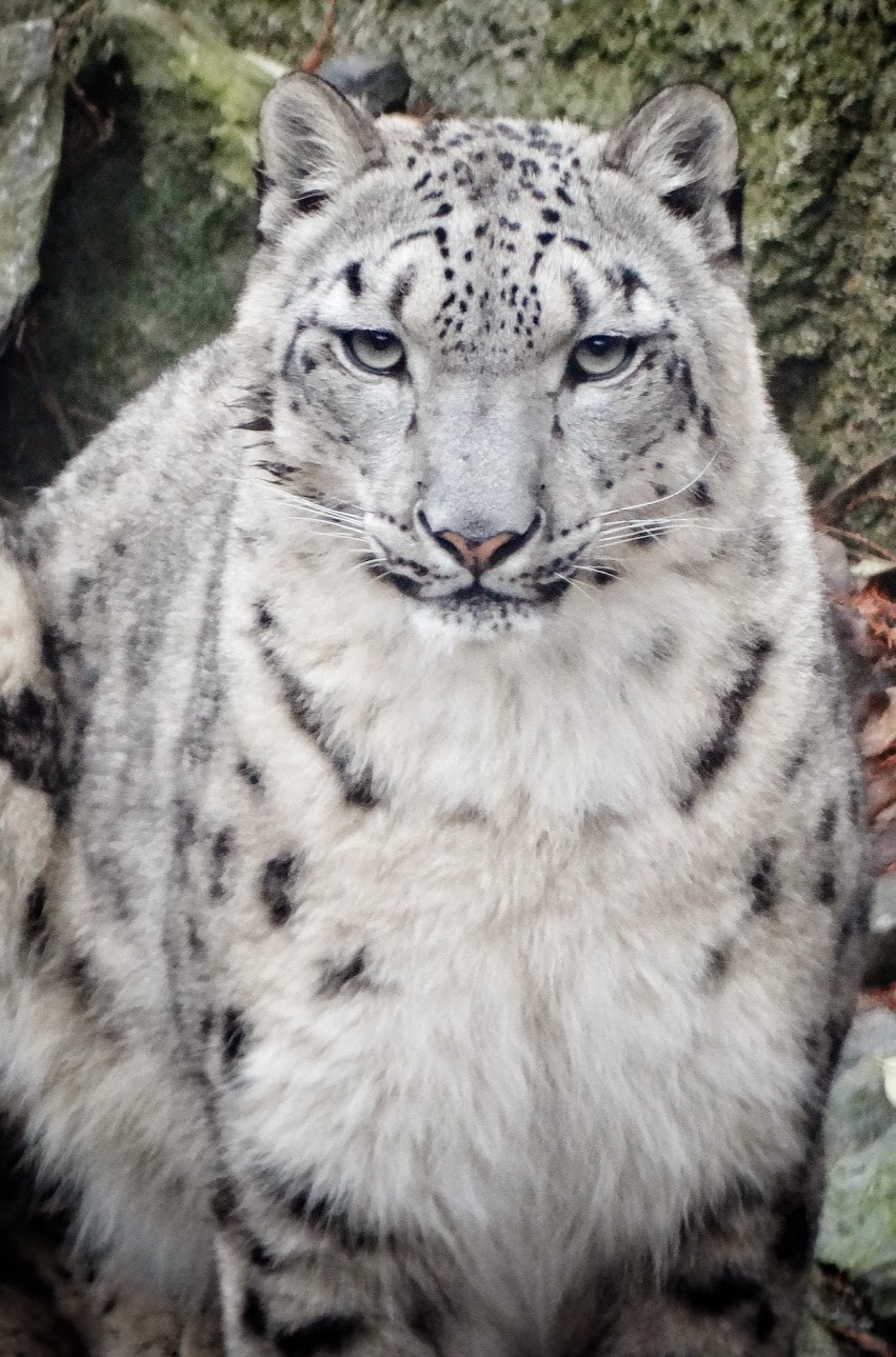 Dec. 2015 - Cat Canyon - Renji