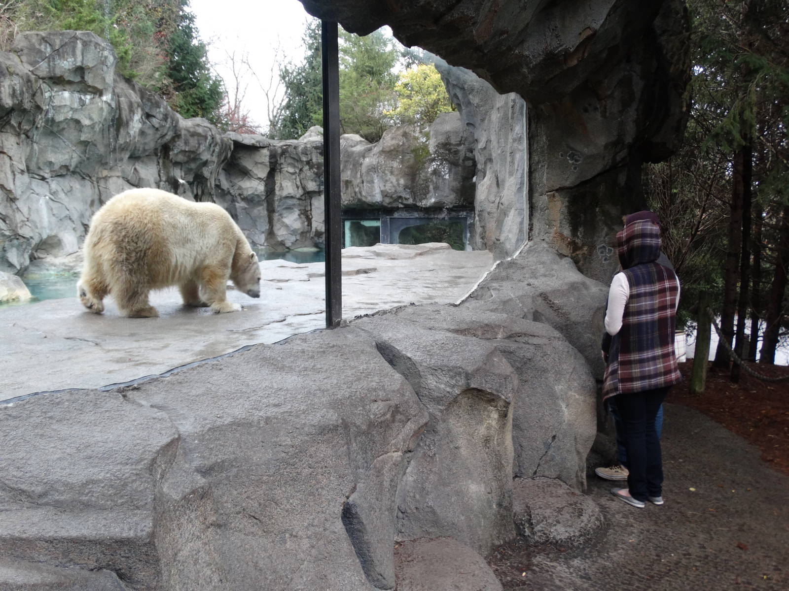 Dec. 2015 - Lords of the Arctic - Little One