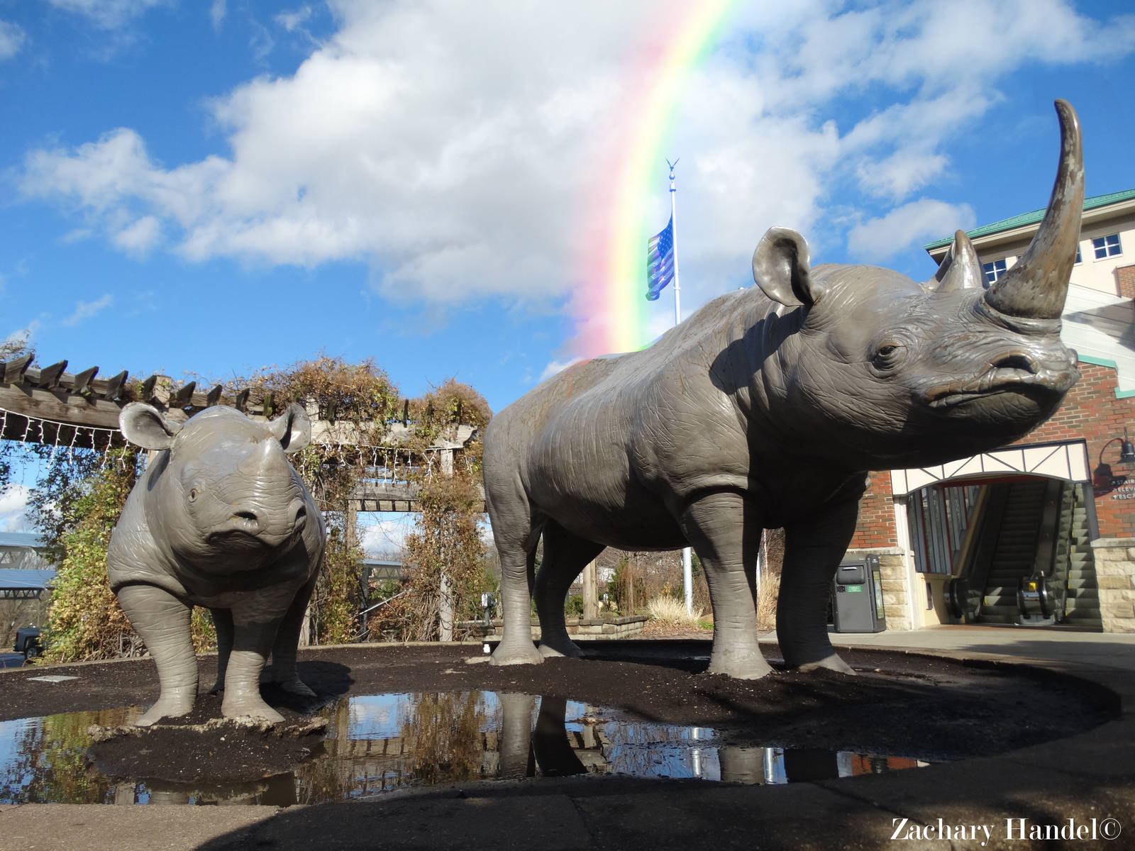 Dec. 2015 - Rhinoceros Statues - First Entrance