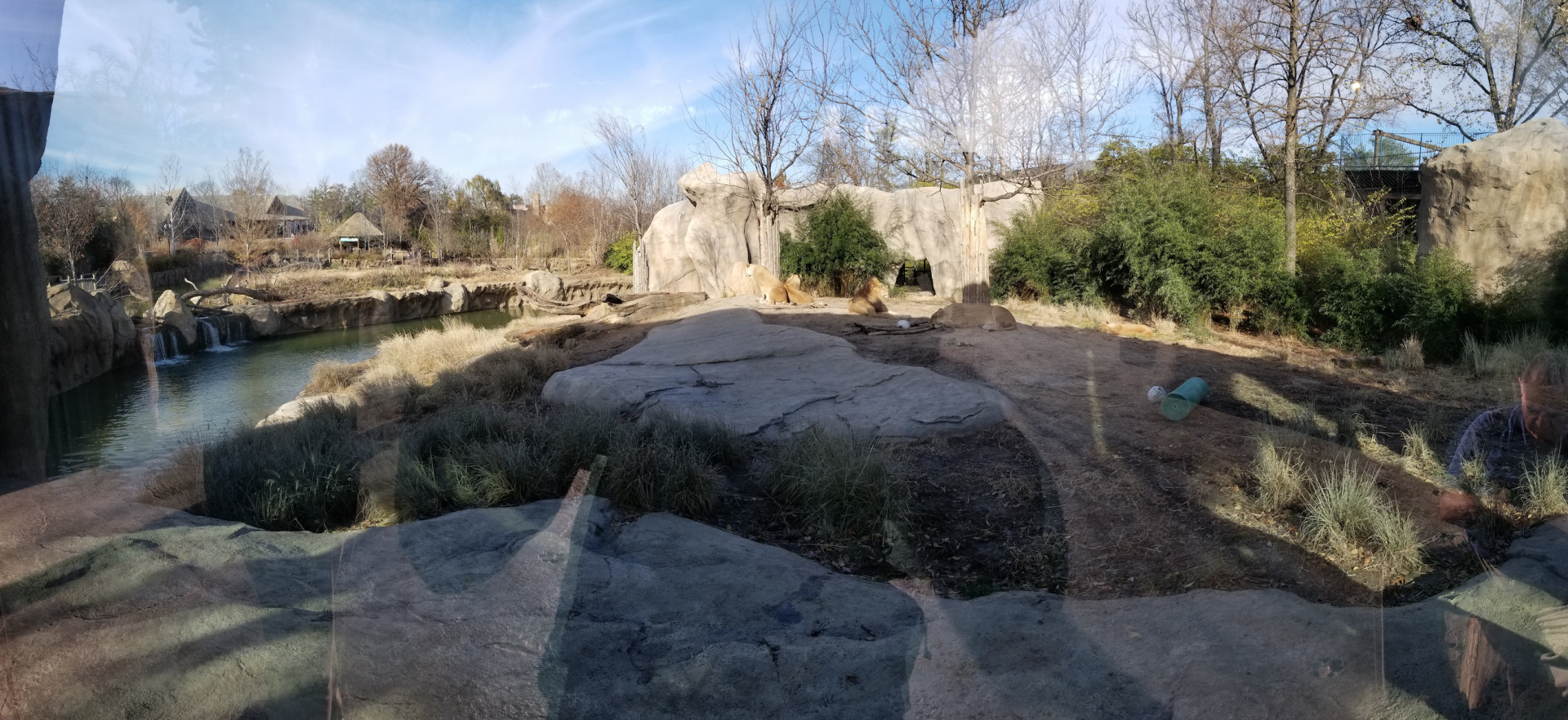 Dec. 2017 - Africa - Lion Exhibit Panorama