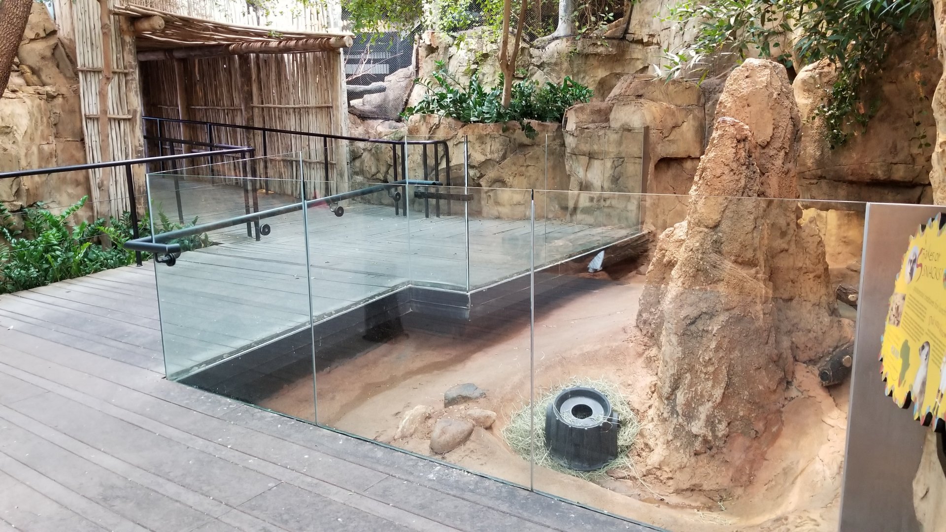 Dec. 2017 - African Journey - Meerkat Exhibit