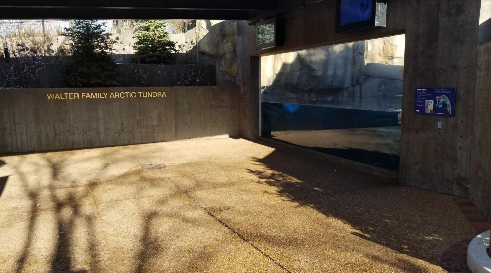 Dec. 2017 - Arctic Tundra - Second Polar Bear Exhibit Underwater View