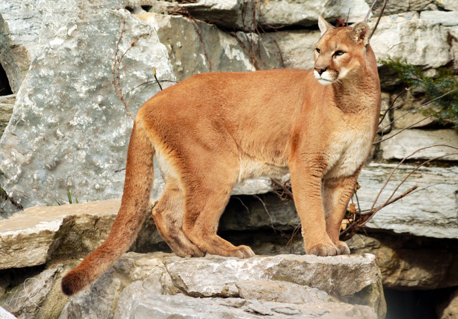 Dec. 2017 - Cat Canyon - Joseph