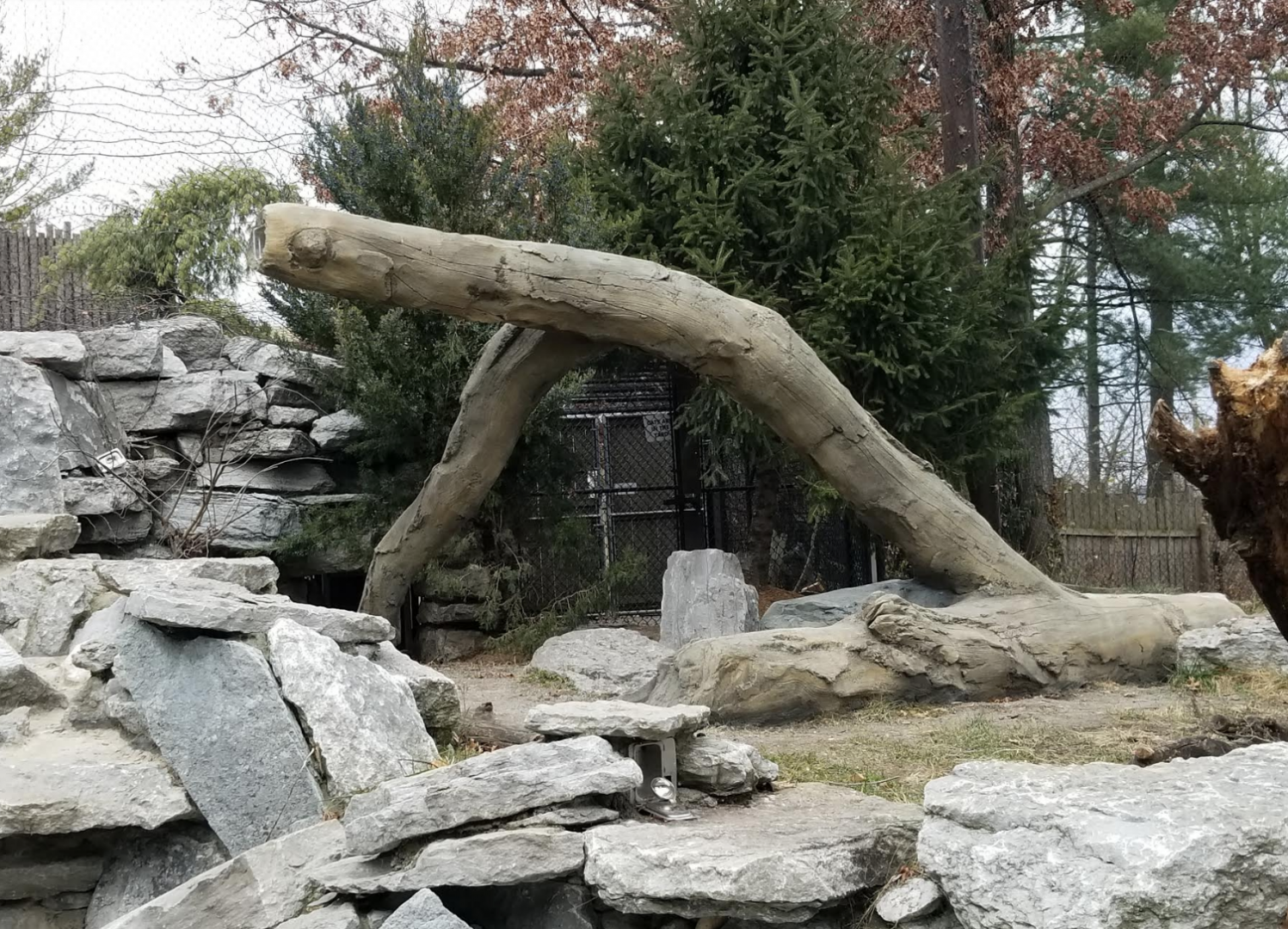 Dec. 2017 - Cat Canyon - New Mock Tree