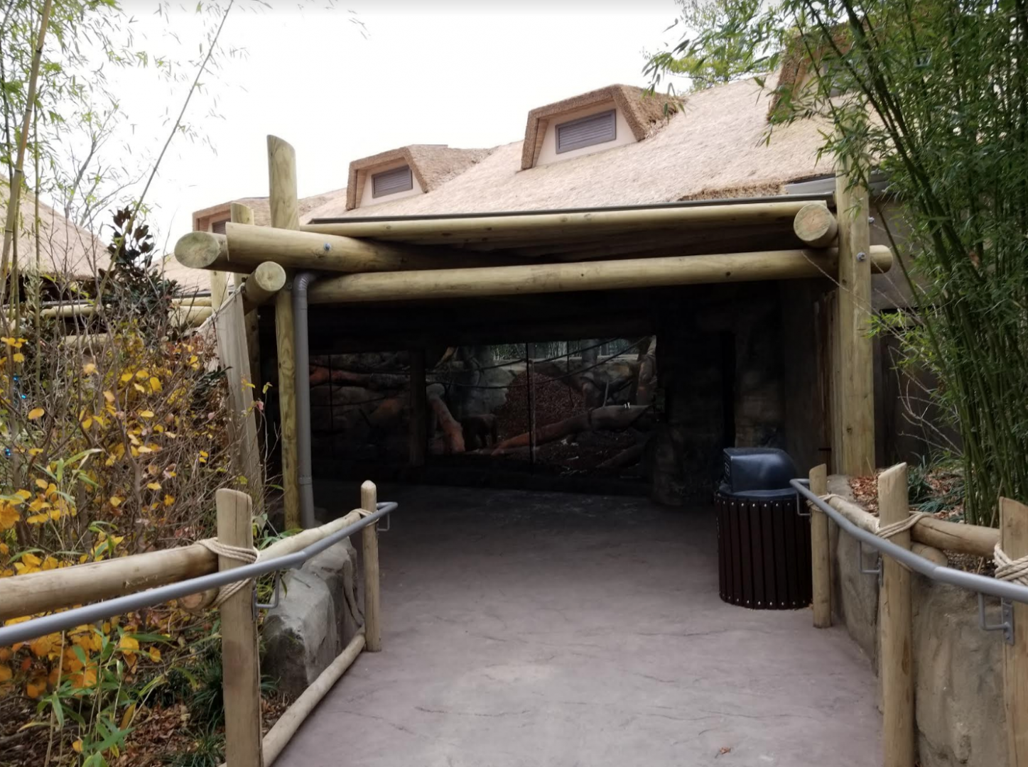 Dec. 2017 - Gorilla World - New! Indoor Exhibit