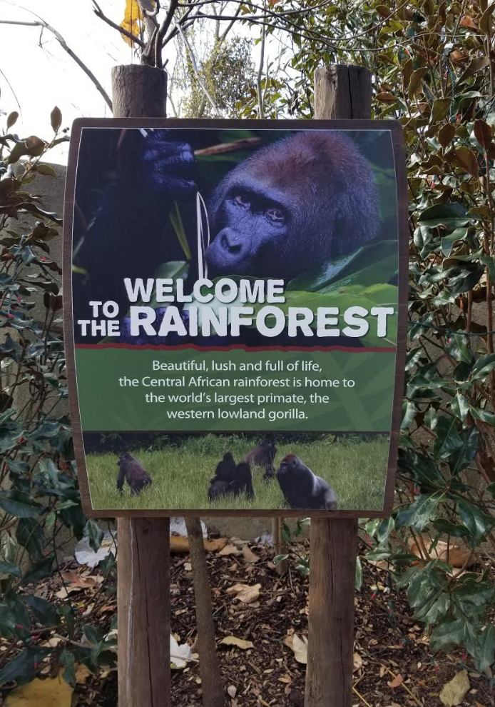 Dec. 2017 - Gorilla World - New Signage