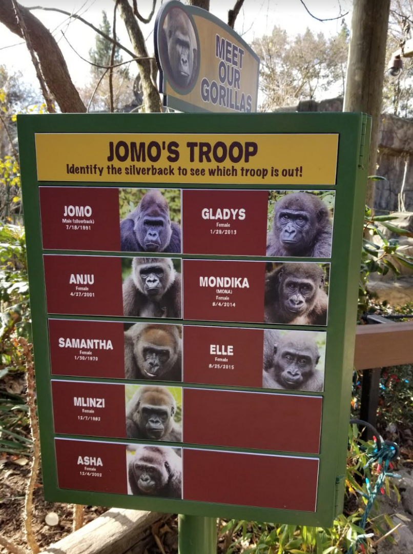 Dec. 2017 - Gorilla World - New Troop Signage - Jomo's Group