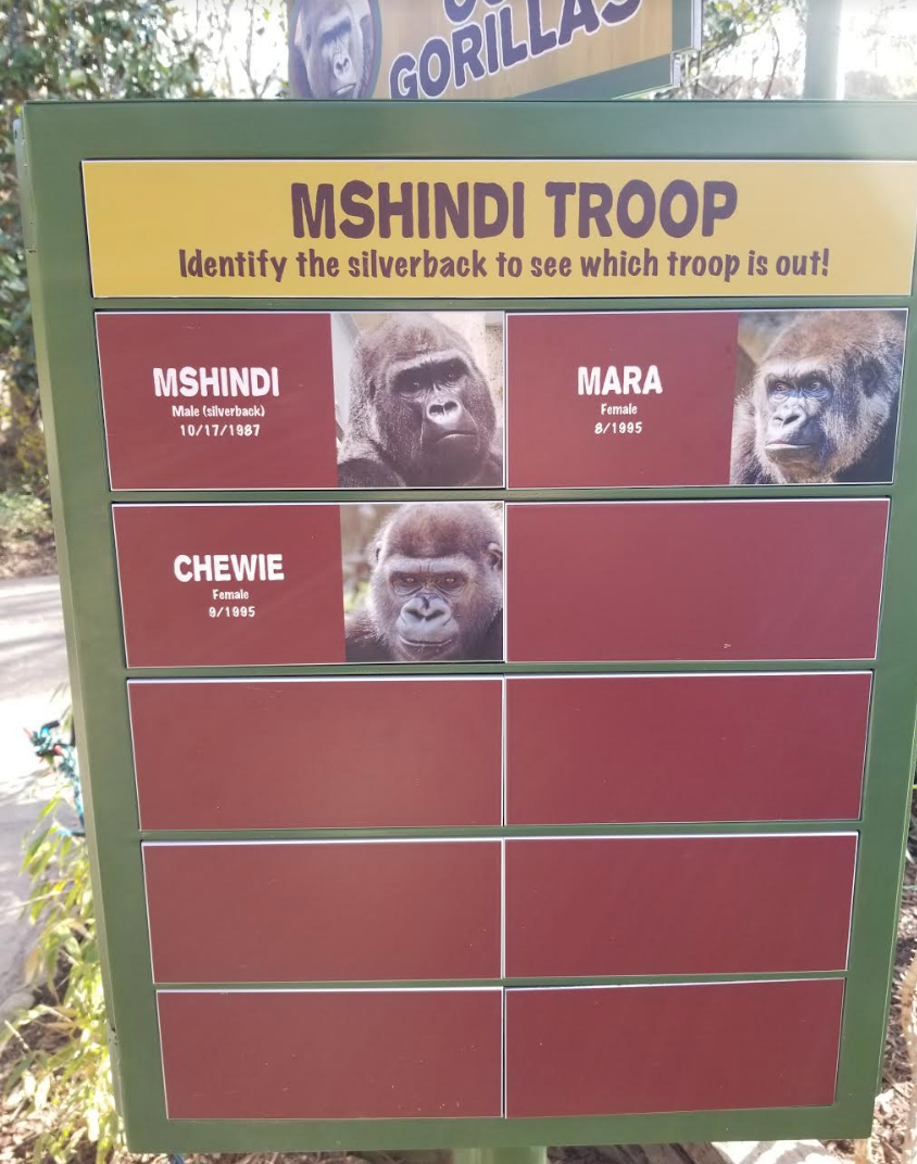 Dec. 2017 - Gorilla World - New Troop Signage - M'shindi's Group