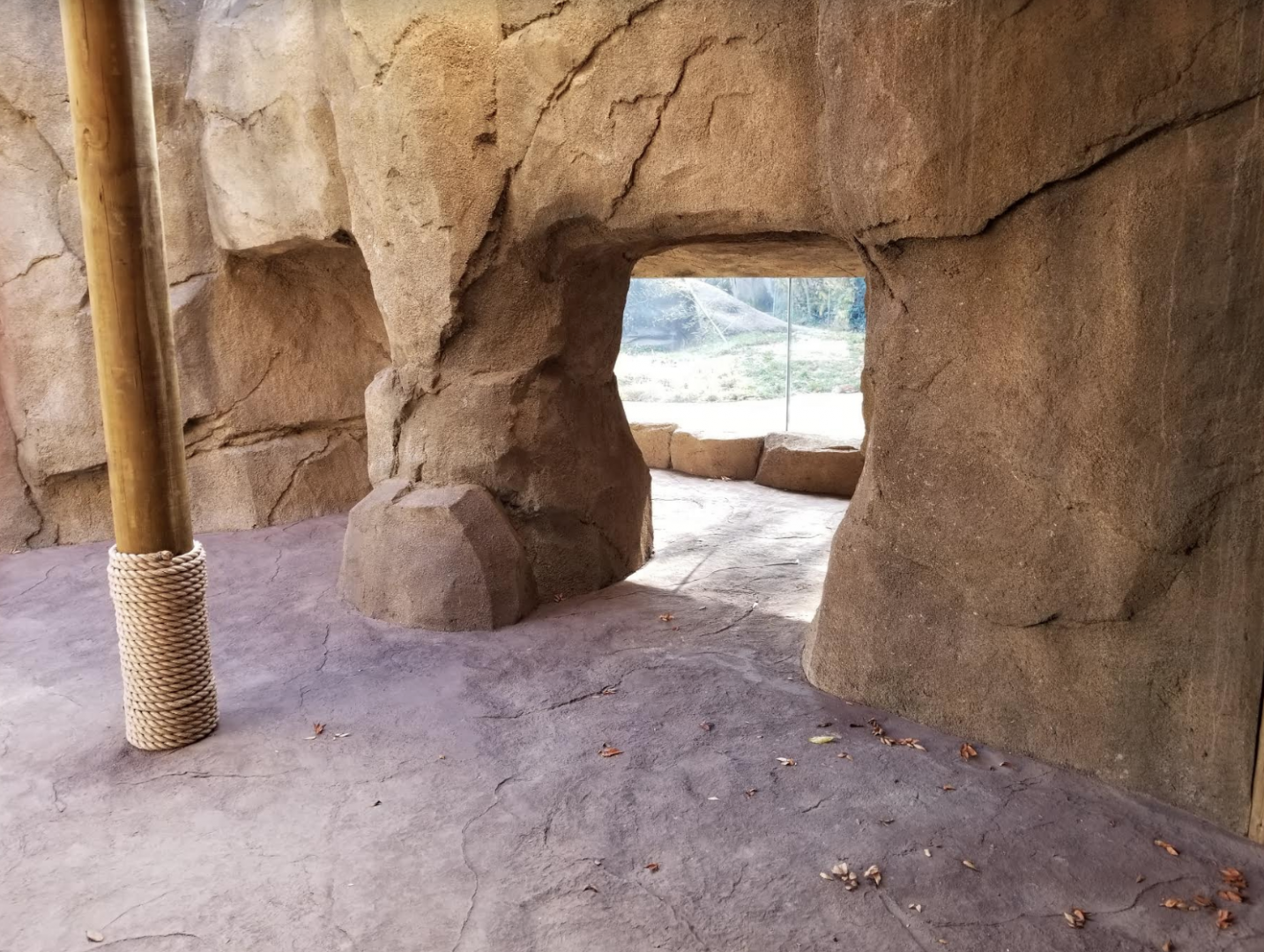 Dec. 2017 - Gorilla World - New Viewing For Outdoor Exhibit