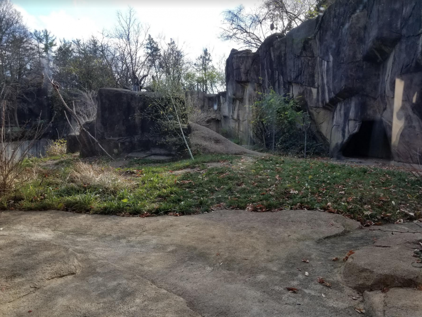 Dec. 2017 - Gorilla World - New Viewing For Outdoor Exhibit